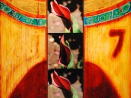 erotischer segen durch die blume i